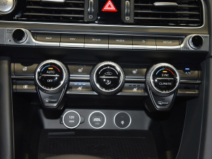 2021��2.0T Edition 1 �޶��� ���{�{��