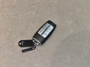 2021��2.0T Edition 1 �޶��� ܇耳�