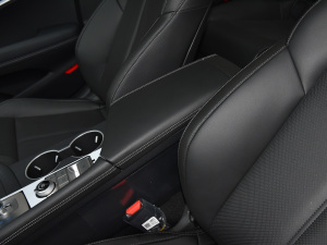 2021��2.0T ���(q��)���A�� ���������