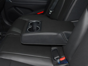 2021��2.0T ���(q��)���A�� �����������