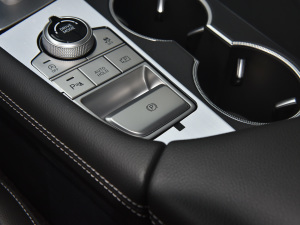 2021��2.0T �����A�� �v܇�Ƅ���