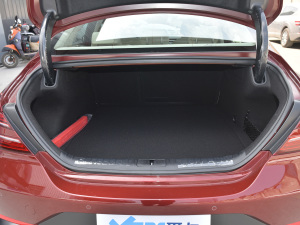 2021��2.0T �����A�� ��������g