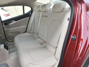 2021��2.0T �����A�� ��������