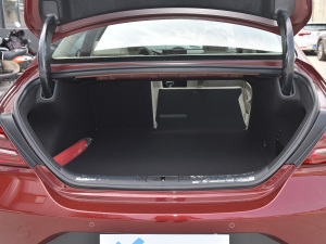 2021��2.0T �����A�� ���g����