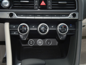 2021��2.0T ���(q��)���A�� ���{(di��o)�{(di��o)��(ji��)