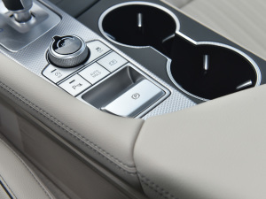 2021��2.0T ���(q��)���A�� �v܇�Ƅ���