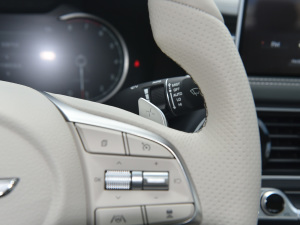 2021��2.0T �����A�� �п؅^