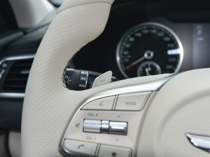 2021��2.0T �����A�� �п؅^