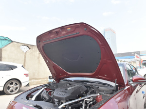 2021��2.0T �����A�� �l�әCœ������