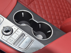 2021��2.0T ���(q��)��Ş�� ǰ�ű���