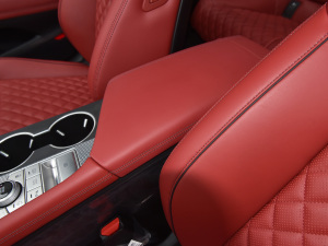 2021��2.0T ���(q��)��Ş�� ���������