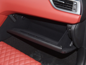 2021��2.0T ���(q��)��Ş�� ������