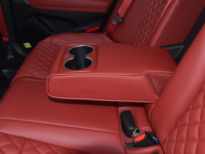 2021��2.0T ���(q��)��Ş�� �����������