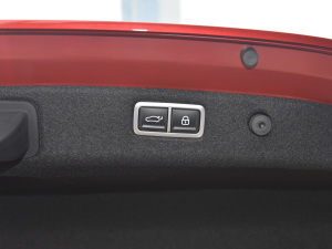 2021��2.0T ���(q��)��Ş�� ���g����