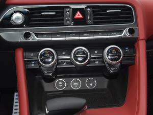 2021��2.0T �����Ş�� ���{�{��