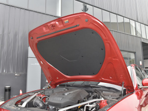 2021��2.0T �����Ş�� �l�әCœ������