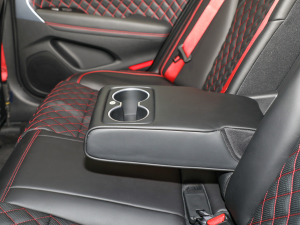 2023��2.0T ���(q��)��Ş�� �����������