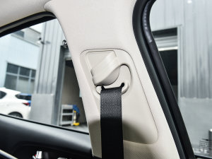 2023��2.0T �����A�� ���g����