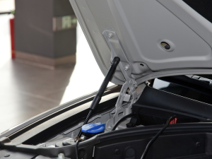 2024��Shooting Brake 2.0T �����Ş�� ����