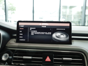 2024��Shooting Brake 2.0T �����Ş�� �п؅^