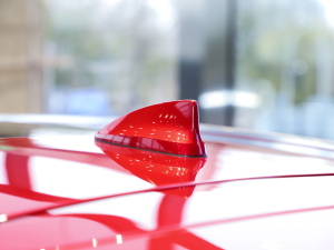 20252.5T (q)Ş (ji)^