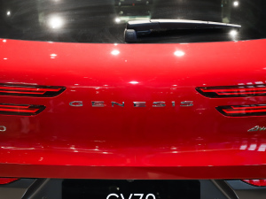 2025款2.5T 四驱旗舰版 细节外观