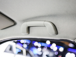 20201.8T LSJX4G18A6L g