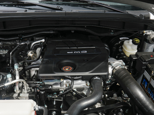 20202.5T (q)(bio)SJX4D25A6L 