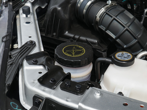 20202.5T (q)(bio)SJX4D25A6L 