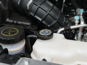 20202.5T (q)(bio)SJX4D25A6L 