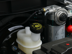 20202.5T (q)(bio)SJX4D25A6L 