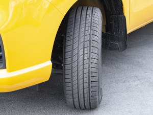 20222.5T քƽ؛LS  ^