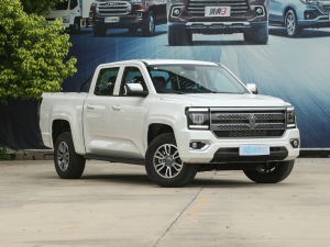 2023ȫ 2.3TԄ(dng)(q)L(zhng)S ǰ45