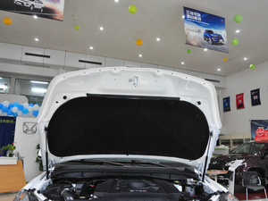 2017款2.0T 自动两驱柴油豪华天窗版7座 其它