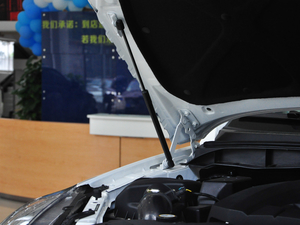 2017款2.0T 自动两驱柴油豪华天窗版7座 其它