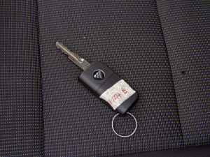 20205 2.0T (q)L(zhng)S  