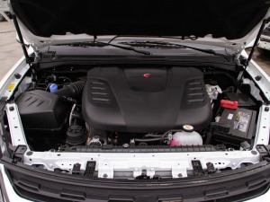 20205 2.0T (q)L(zhng)S  