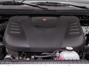 20205 2.0T (q)L(zhng)S  