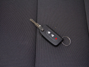 20205 2.0T (q)L(zhng)S  