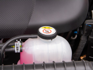 20205 2.0T (q)L(zhng)S  