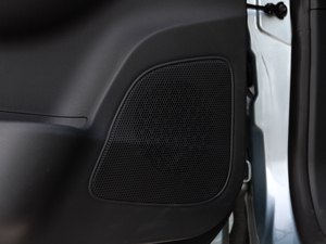 20208 2.0T (q)A(bio)S  g