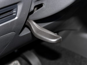 20208 2.0T (q)A(bio)S  g