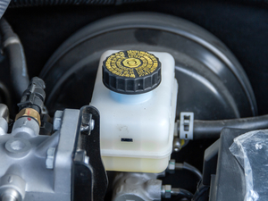 20208 2.0T (q)A(bio)S  