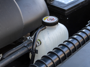 20209 2.0T (q)(l)L(zhng)S  