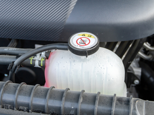 20208 2.0T (q)A(bio)S  