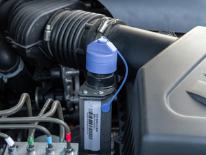 20208 2.0T (q)A(bio)S  