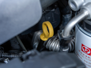 20208 2.0T (q)A(bio)S  