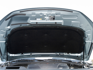 20208 2.0T (q)A(bio)S  