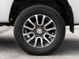 20209 2.0T (q)LS  (x)(ji)^