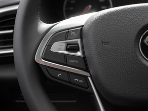 20209 2.0T 򌘷LS  п؅^